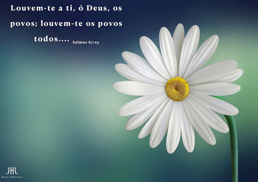 Louvem-te a ti, ó Deus, os povos; louvem-te os povos todos.
Salmos 67:03