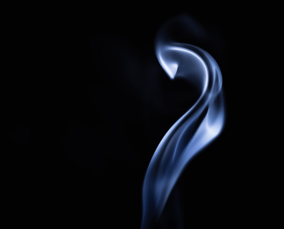 Qual o propósito da vida?