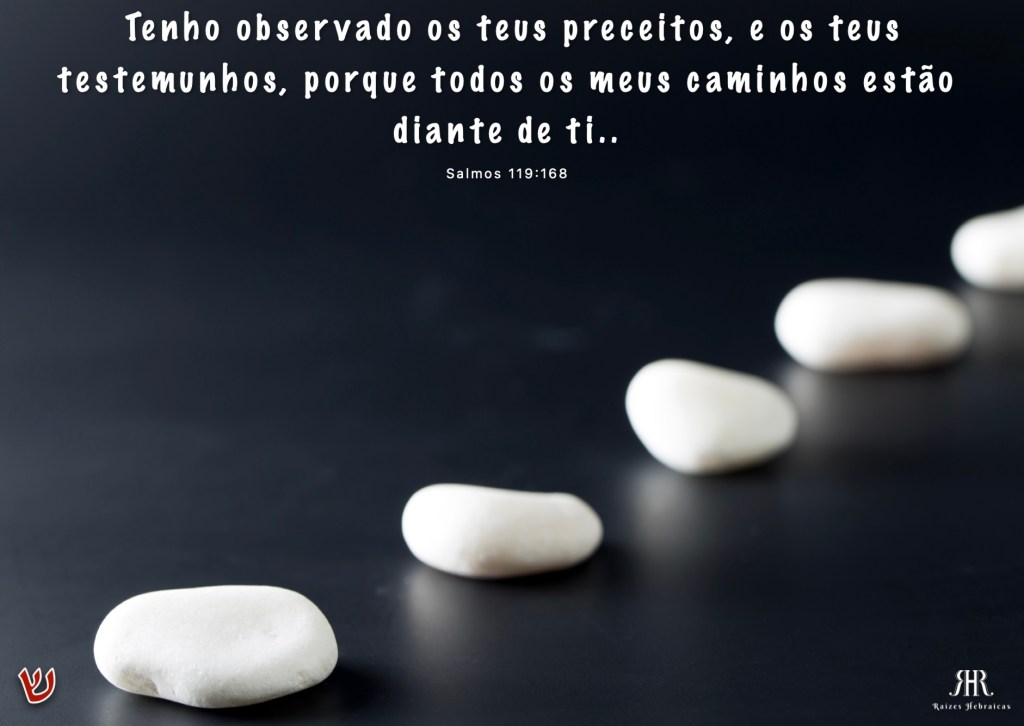 Tenho observado os teus preceitos, e os teus testemunhos, porque todos os meus caminhos estão diante de ti..
Salmos 119:168