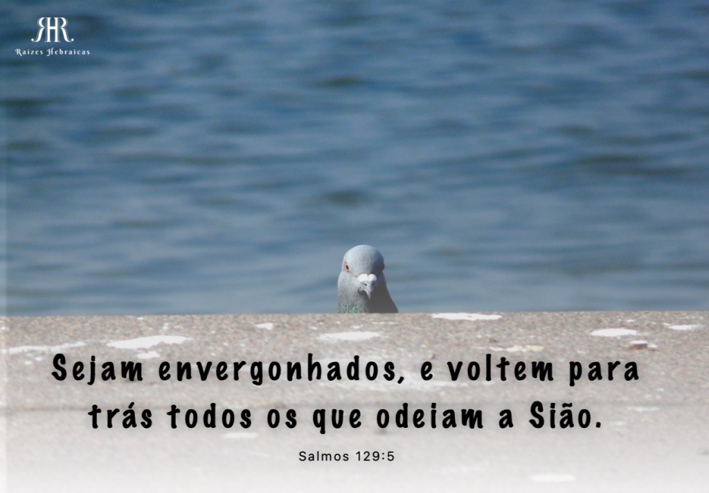 Sejam envergonhados, e voltem para trás todos os que odeiam a Sião.
Salmos 129:5