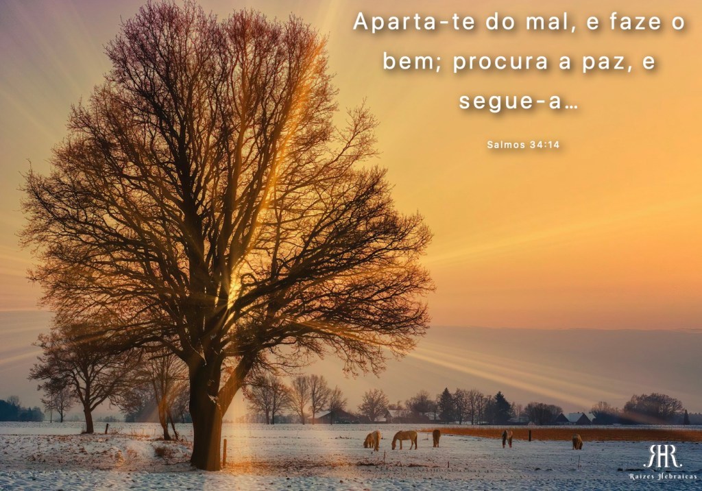 Aparta-te do mal, e faze o bem; procura a paz, e segue-a…
Salmos 34:14