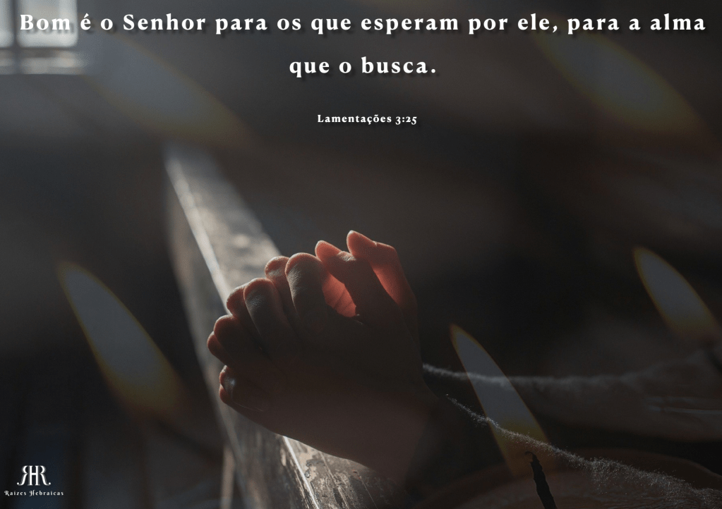 Bom é o Senhor para os que esperam por ele, para a alma que o busca.
Lamentações 3:25
