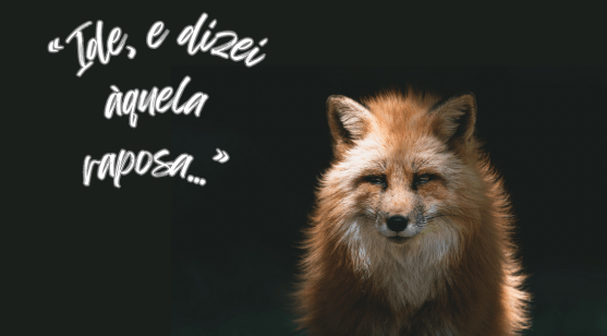 Entendendo as palavras difíceis de Jesus Parte 10: “Ide, e dizei àquela raposa…”