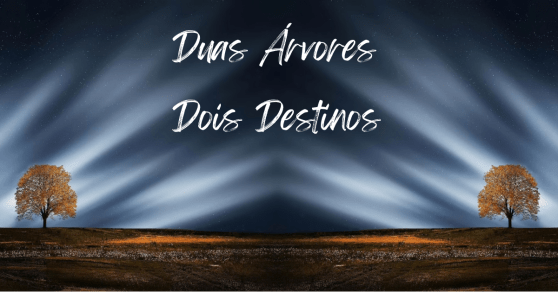 Duas Árvores, Dois Destinos