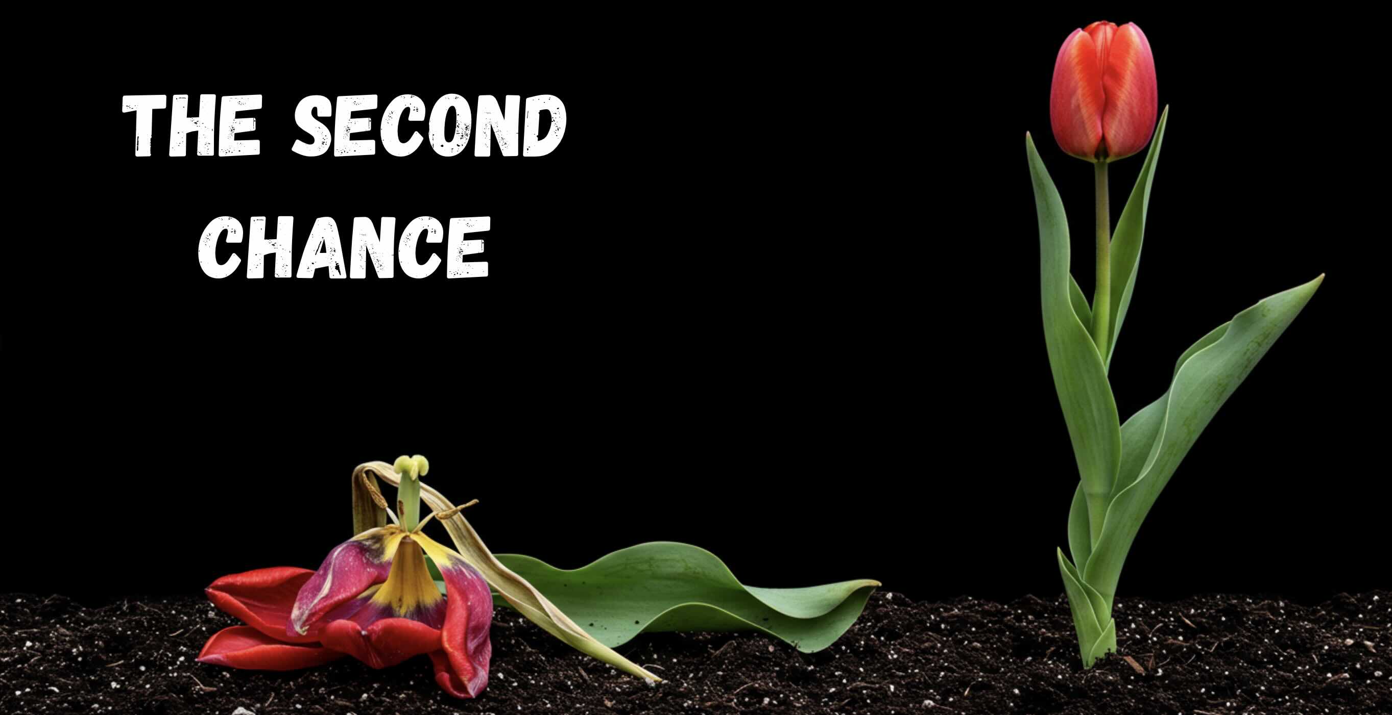 The Second Chance