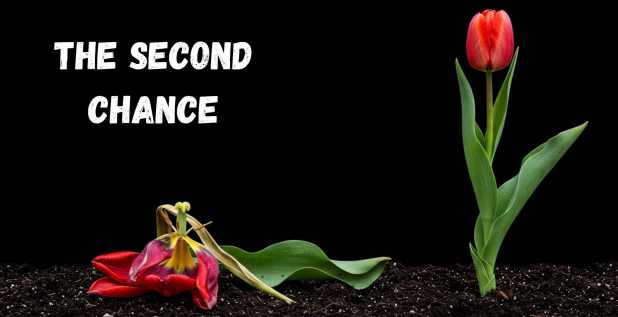 The Second Chance