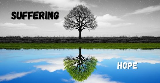 Between Hope and Humanity