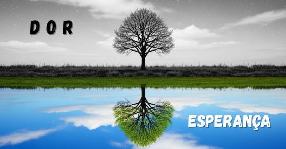 Uma Meditação sobre o Luto e a Graça